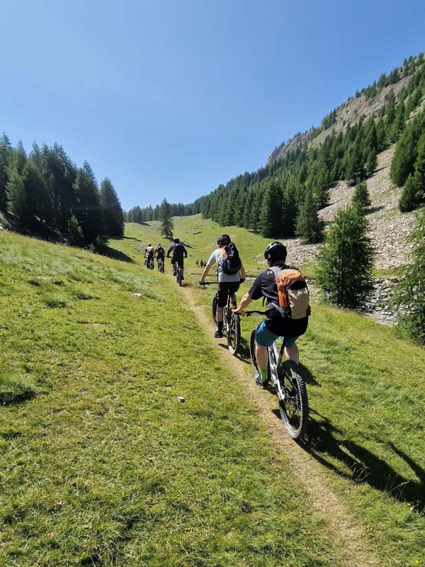 Groupe de vttistes roulant sur un sentier herbeux en montagne sous un ciel bleu, entours de sapins et de pentes rocheuses.