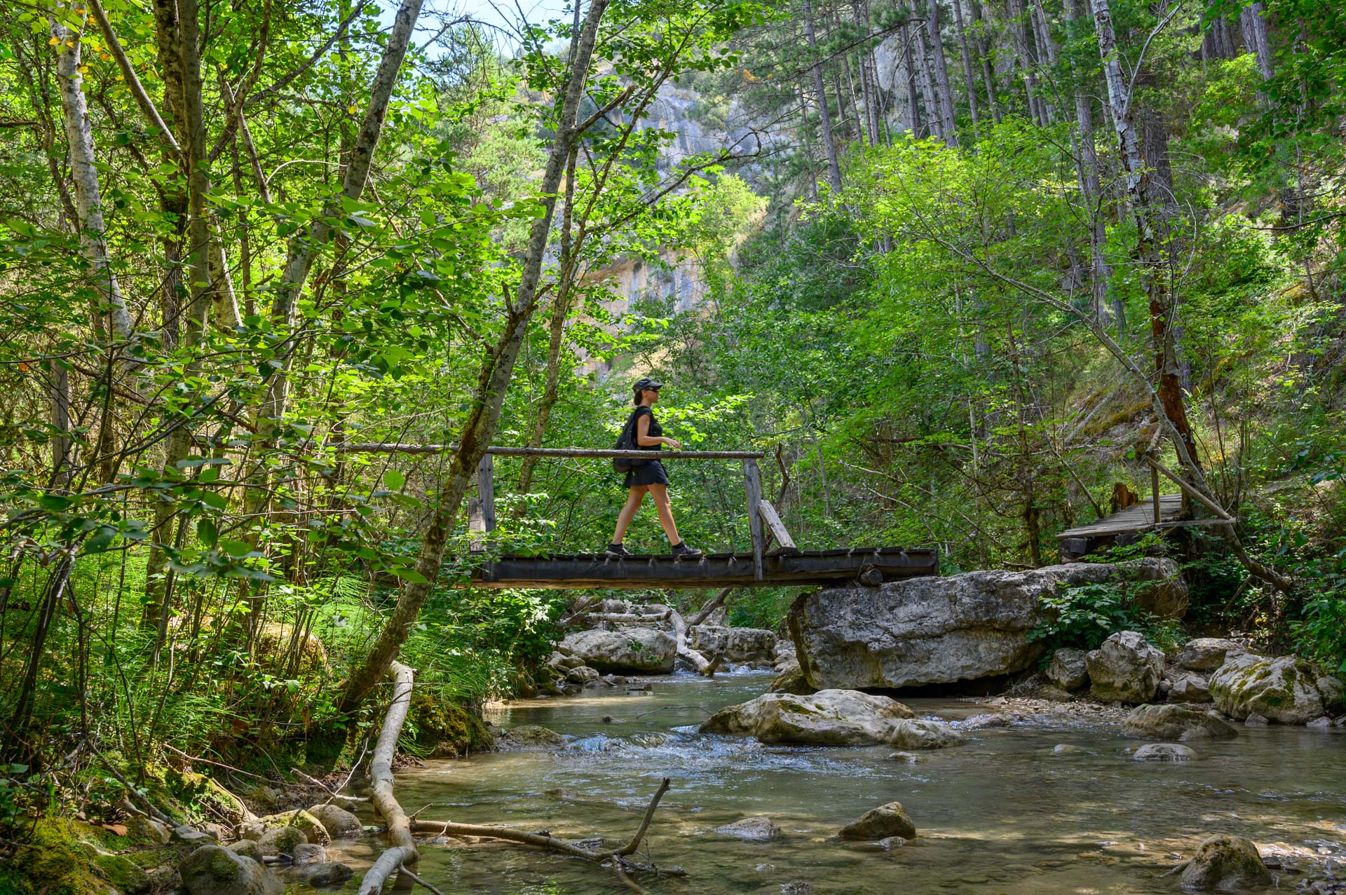 L'Estoublaisse, les Gorges de Trvans