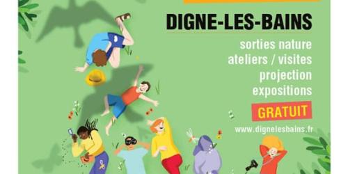 web FDLN flyer 2025